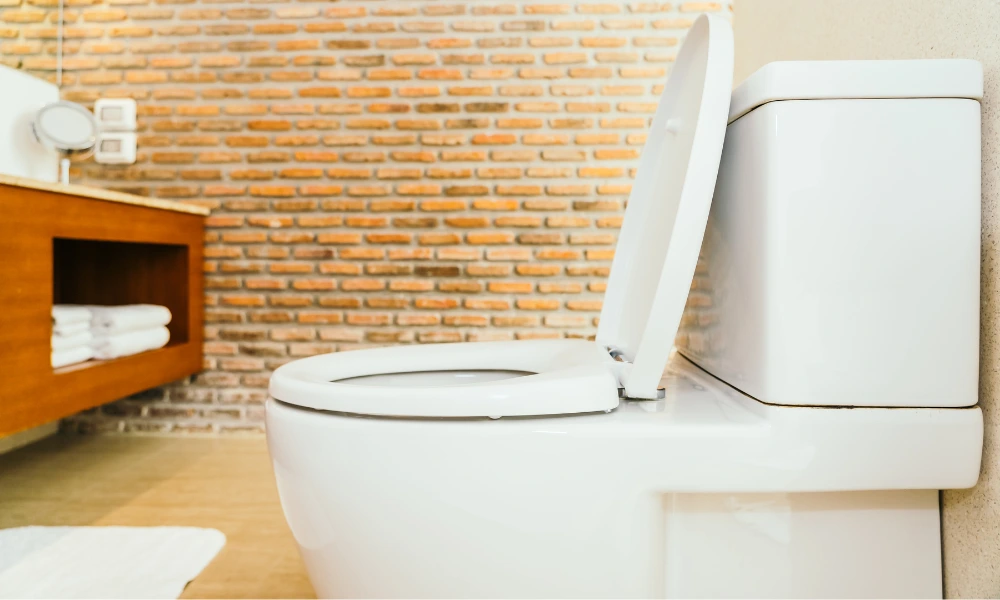 Harga Sedot WC Sugio Lamongan